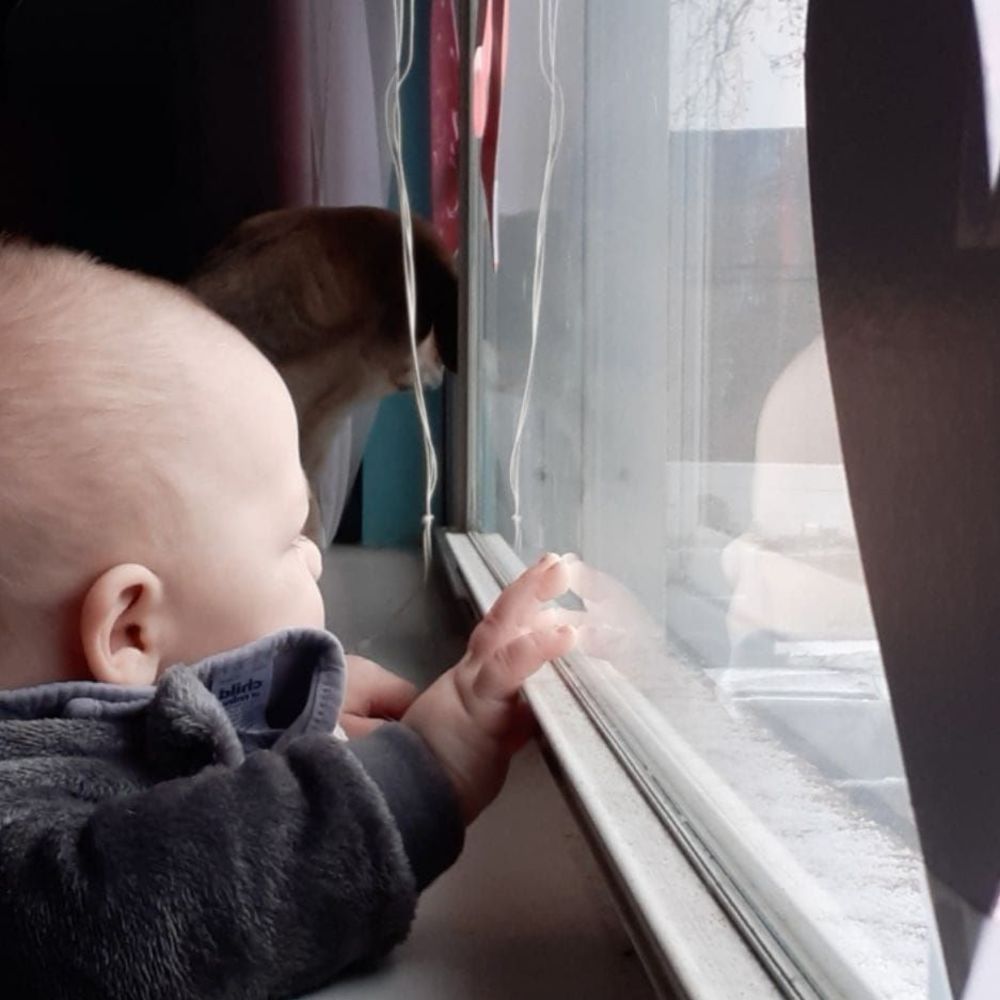 Meet your Posher, Holly